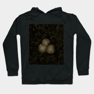 Apples Hoodie